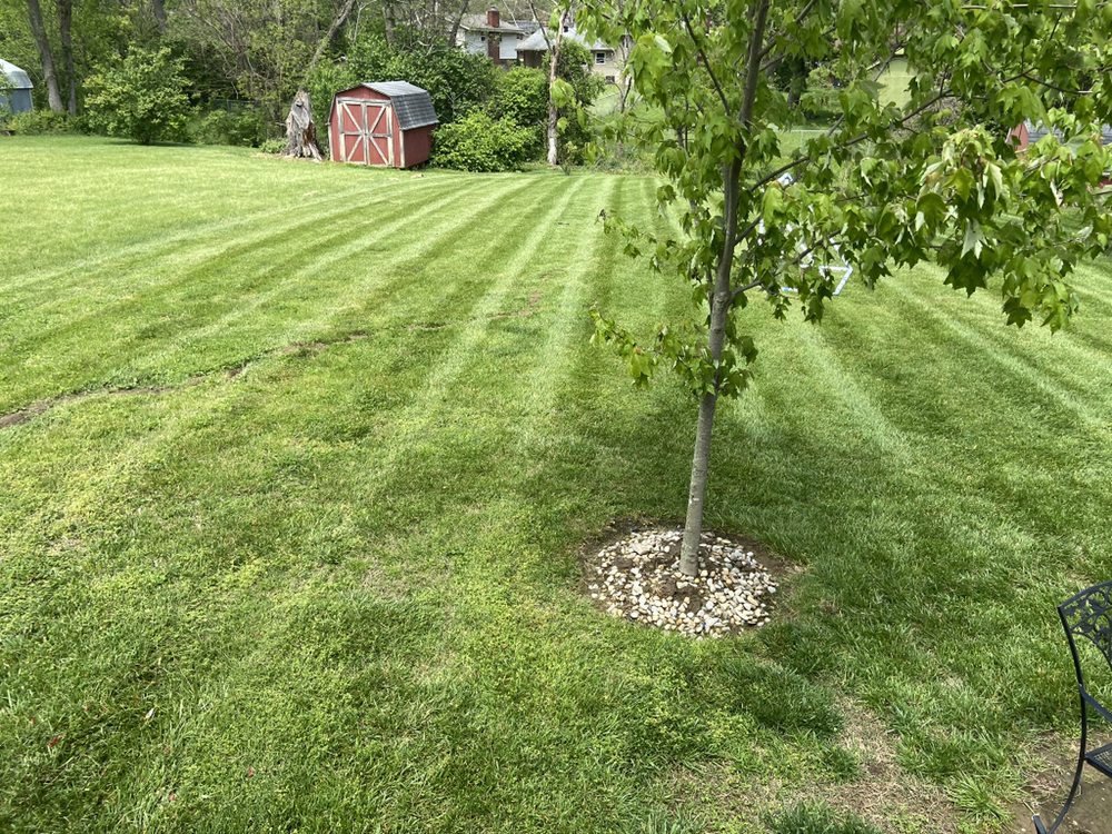 Freshly striped lawn