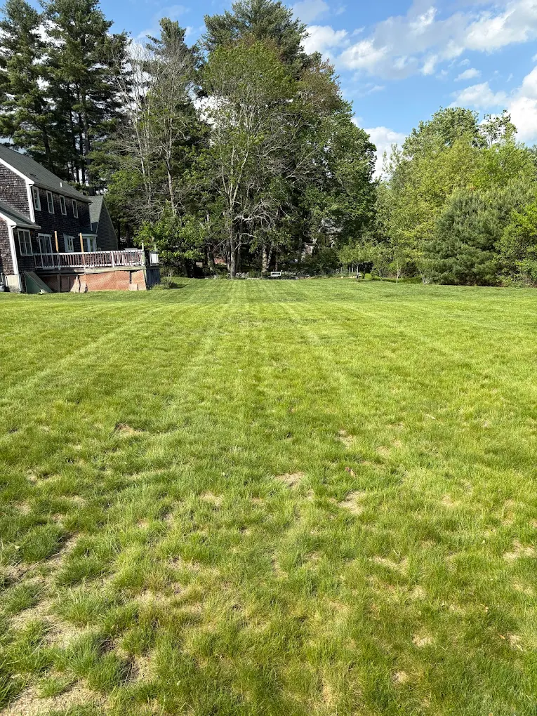 Wide open backyard lawn freshly cut