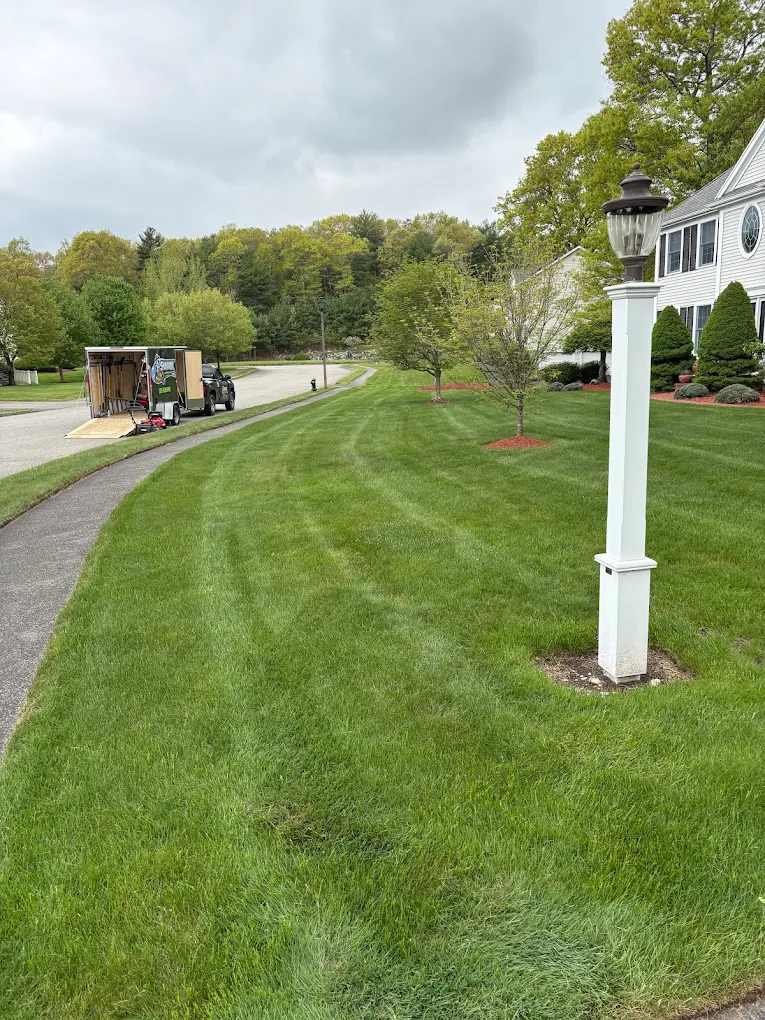 Freshly mowed lawn with Shaark trailer on site